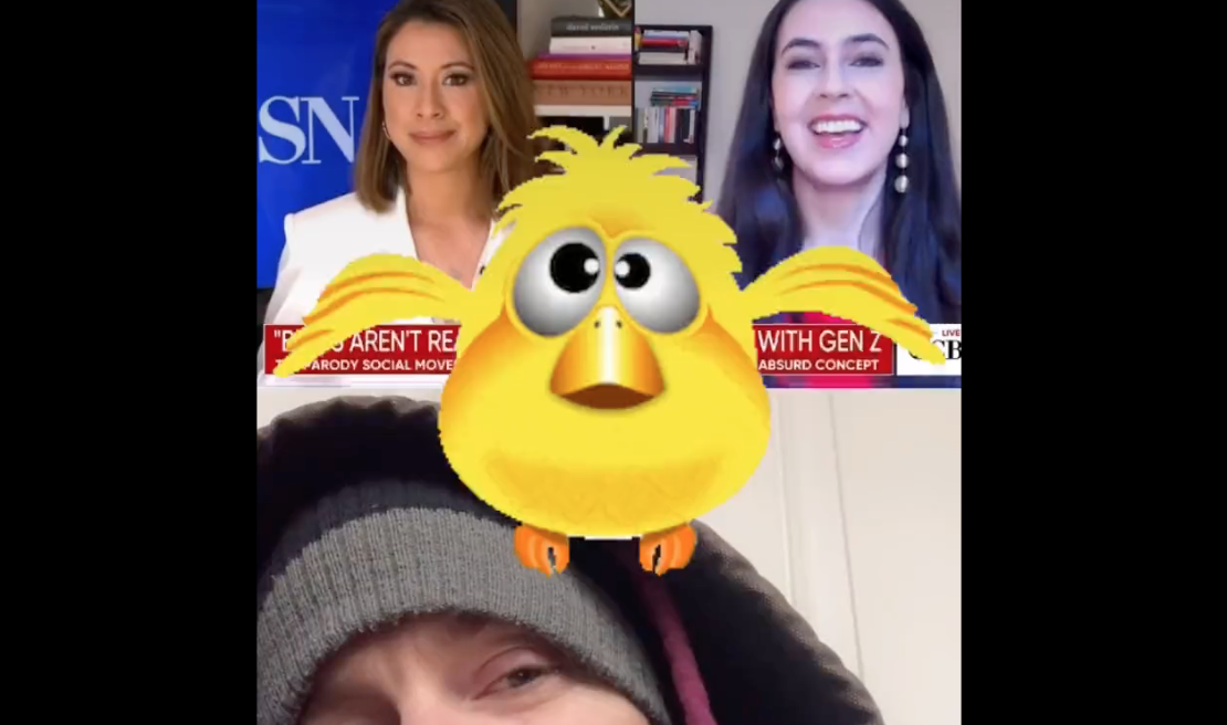 Birds Aren't Real