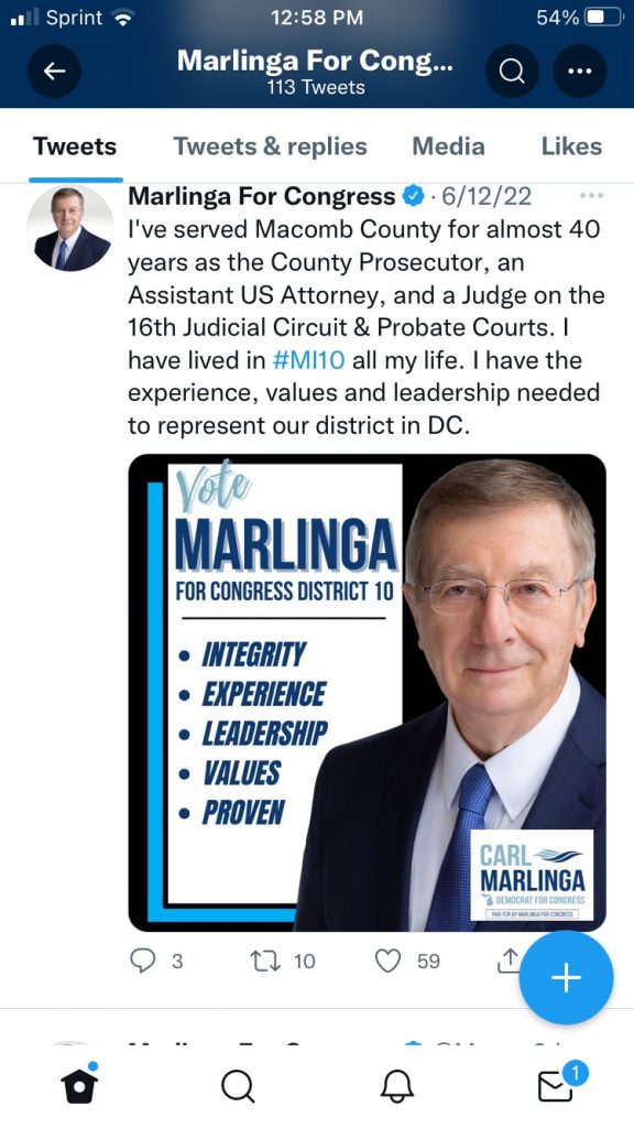 Carl Marlinga Mi-10 Democrat Michigan